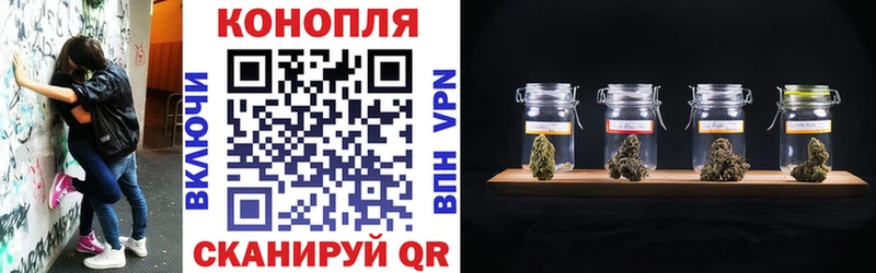Бошки Шишки индика  цена   даркнет Telegram  Мосальск 